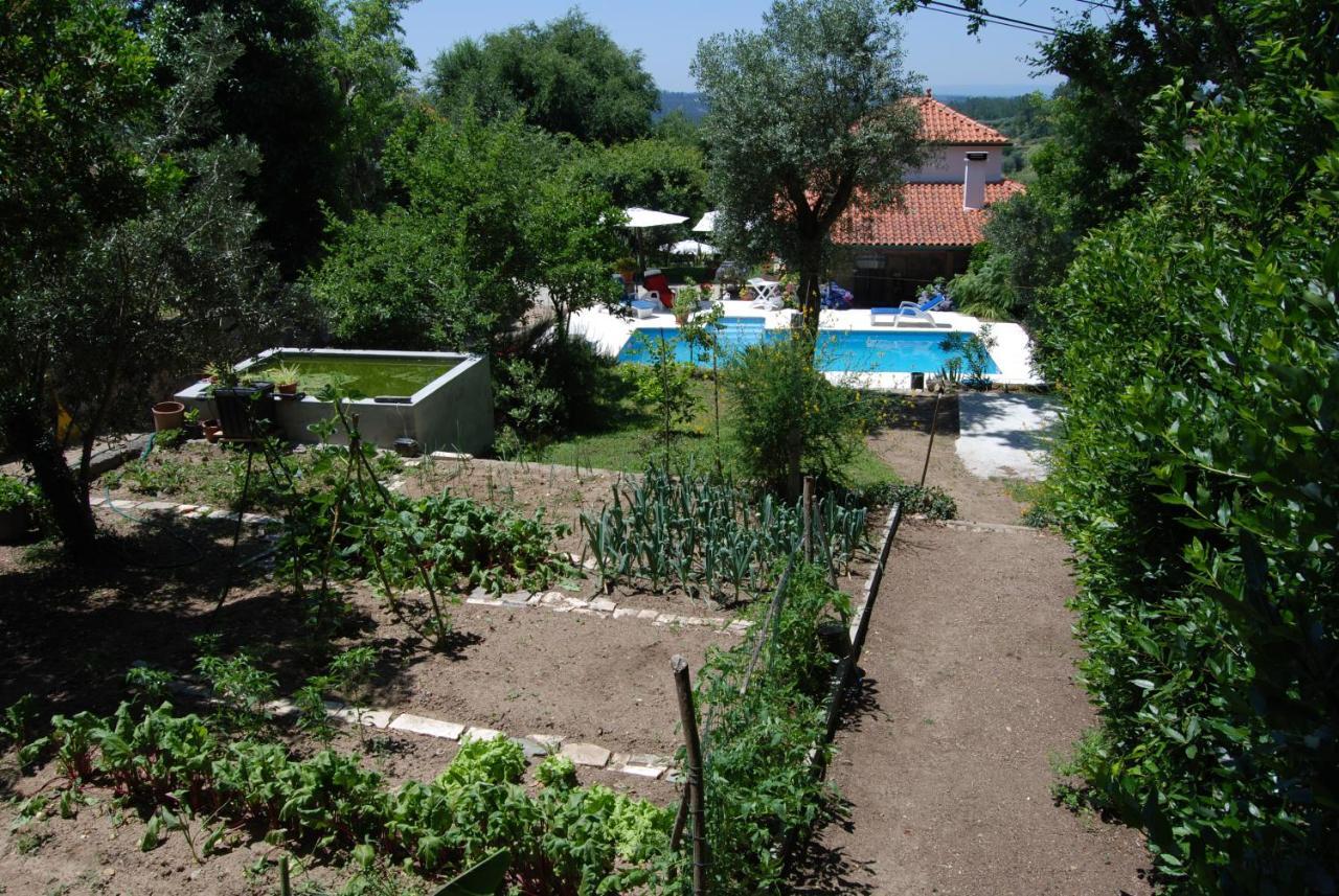 Quinta Das Murteiras Aparthotel Póvoa de Midões Екстериор снимка